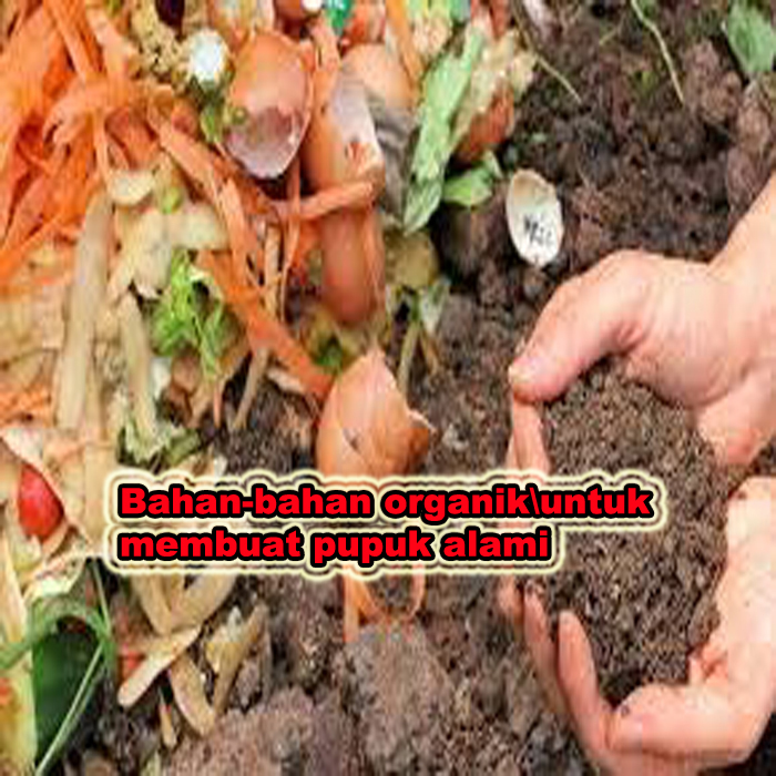 bahan-bahan organik