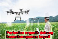 pertanian organik