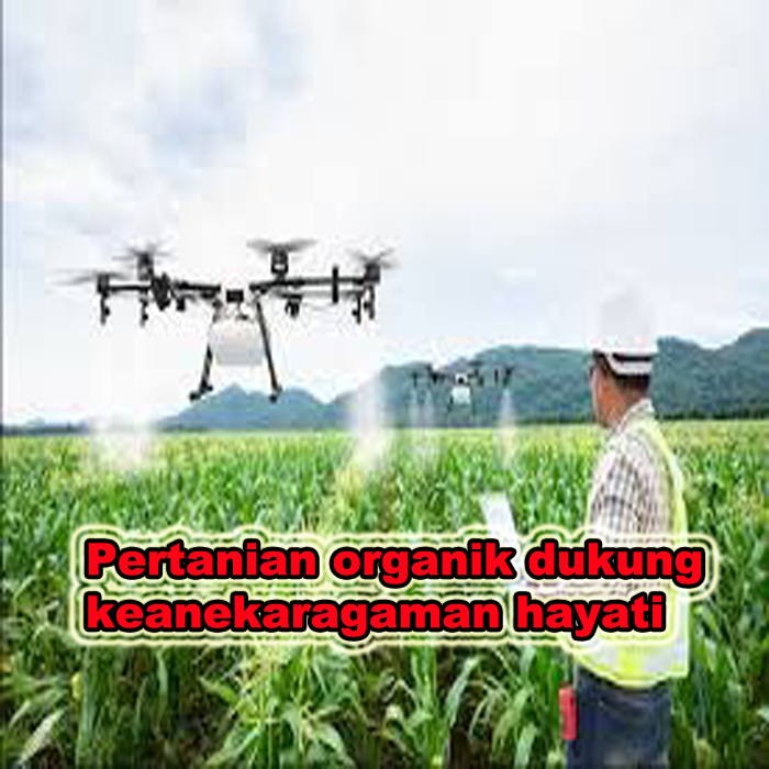 pertanian organik