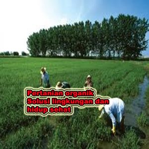 pertanian organik