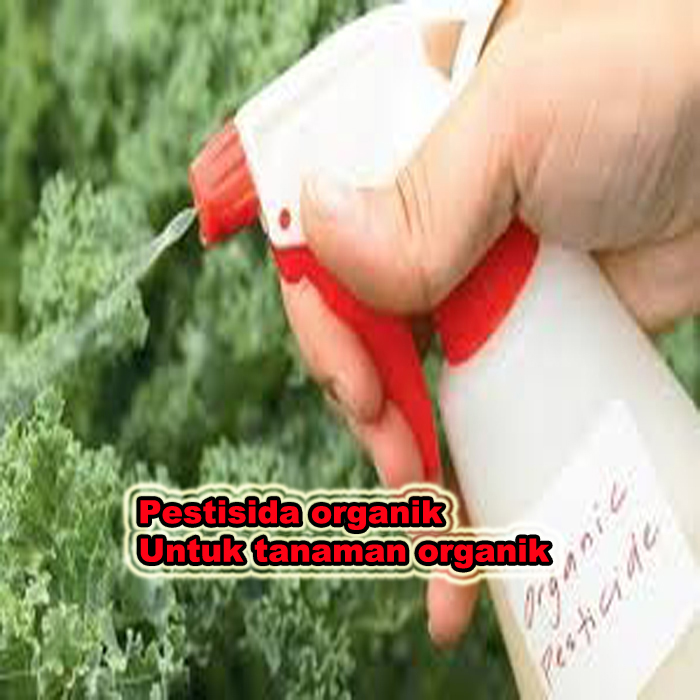pestisida organik