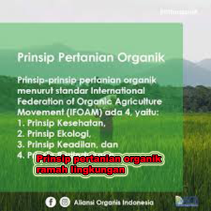 prinsip pertanian organik