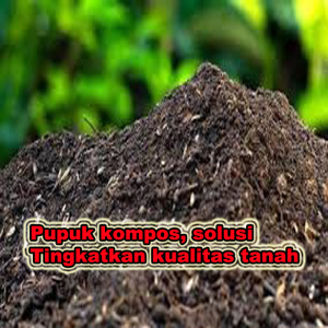 pupuk kompos