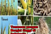 tanaman pangan bergizi