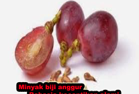 MINYAK BIJI ANGGUR RAHASIA KECANTIKAN ALAMI