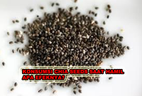 KONSUMSI CHIA SEEDS SAAT HAMIL APA EFEKNYA?