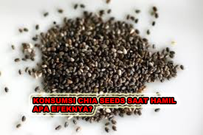 KONSUMSI CHIA SEEDS SAAT HAMIL APA EFEKNYA?