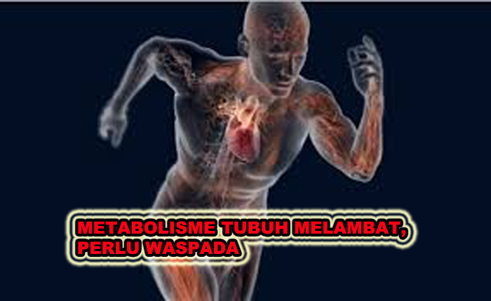 METABOLISME TUBUH MELAMBAT, PERLU WASPADA